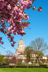 Saintes, Charente-Maritime, France. View of  old city and cathedral through beautiful blossoming sakura tree. European architecture, environment, heritage concept. Europe spring travel background.