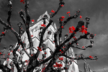 Retro black white red toned photo of bare tree with leaves and old church at background. Vintage creepy fantasy concept.