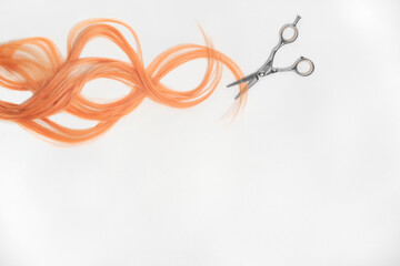 A piece of wavy peach fuzz hair with scissors on the white background with copy space.