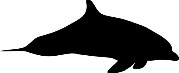 Dolphin black vector silhouette image
