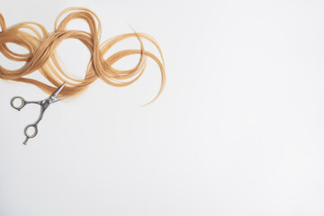 A cut wavy blonde hair with scissors and copy space on the white background. 
