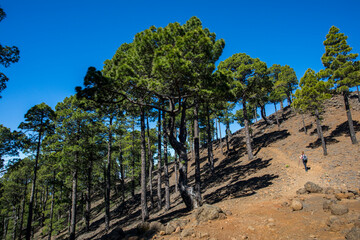 Young woman summit to Bejenado Peak in Caldera de Taburiente, La Palma, Spain