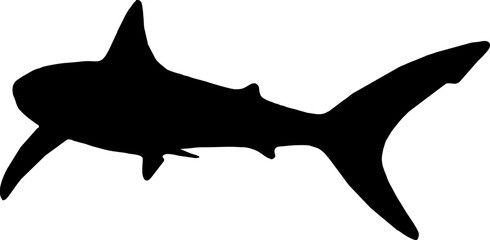 Shark Fish black vector silhouette image