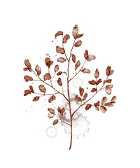 Autumn vintage plant branch with red leaves and splashes isolated on white background. Watercolor hand drawn illustration