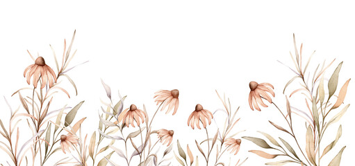 Watercolor border botanical autumn illustration echinacea branches flowers and herbs. Autumn banner illustration. Hand painted drawing isolated on white background. Floral composition pastel color