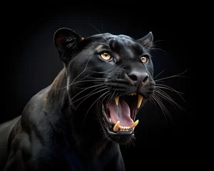 Raamstickers black panther © Robert