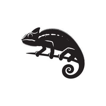recommend clip art: Colorful Camouflage: Vector Chameleon Silhouette, Minimalist Black chameleon Illustration.