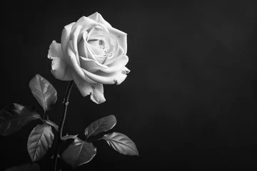 Fotobehang Condolence card black and white color photo, rose, black background. Copy Space. Generative AI © Eugen