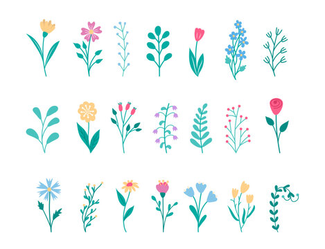Hand drawn flowers and floral elements isolated on white background. Spring natural decorations for design of cards and invitations.