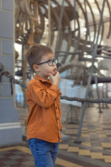 boy looking at dinosaur skeleton in history museum, Kid having fun learning about prehistory