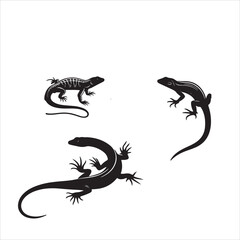 Black silhouette creeping of lizard on white background