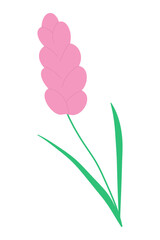 Pink spring flower. Decorative design element