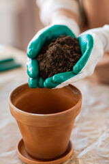 people, gardening and housework concept - close up of woman in gloves pouring soil to flower pot at home - 755866985