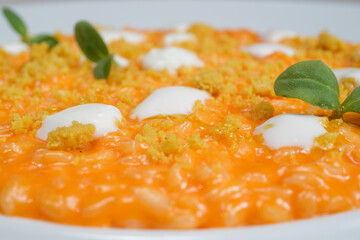 Risotto gourmet sugo e mozzarella con basilico
