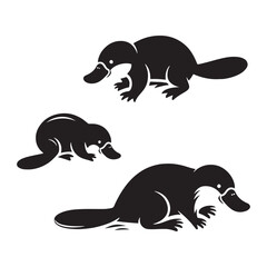 Curious Creations vector art: Vector Platypus Silhouette Collection, Minimalist Black platypus illustration.