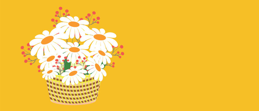 A bouquet of fresh chamomile in a wicker basket on a bright yellow spring background. Spring summer flower post design.
