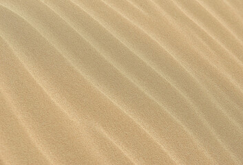 Fototapeta na wymiar white sand texture background pattern 
