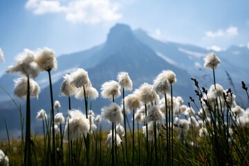 Naturjuwel im Nationalpark Hohe Tauern - das Ski- und Wanderparadies Weißsee Gletscherwelt....