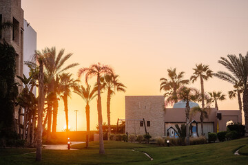 Agadir, Morocco - February 28, 2024- Sunset view with palm trees and a building with a 