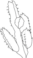 Desert cactus coloring page, 
outline cactus coloring page, realistic cactus coloring page, pencil cactus drawing, pencil sketch cactus drawing, cactus drawing black and white
