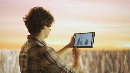 Farmer against large field of wheat at sunset. Man agronomist standing in the farm field, holding tablet checking product growth, financial results on screen.