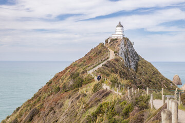 Fototapeta na wymiar landscape of nugget point lighthouse in new zealand