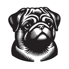 Pug dog.   Old vintage engraving illustration. Hand drawn outline graphic. Logo, emblem, icon. Isolated object, cut out. black and white	