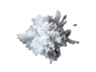 Silver paint color powder festival explosion burst isolated on transparent background, transparency image, removed background