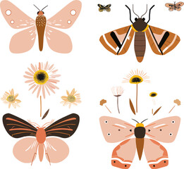Set of butterflies elements object isolate illustration vector.
