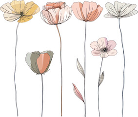 Obraz premium Set of flower, floral design elements, minimal object isolate illustration vector. 