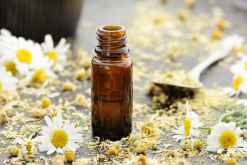 Chamomile essential oil on black texture background with fresh flowers nearby, copy space, natural medicine, organic remedy for sleep, skin care, stress and depression therapy