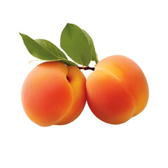 A Pair of Luscious Apricots Radiating Sunlit Sweetness, Capturing Nature's Bounty in Perfect Harmony - A PNG Cutout Isolated on a Transparent Backdrop