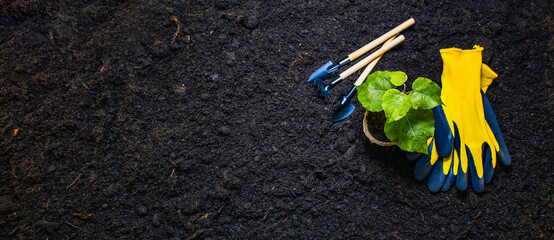 Copy space. Banner of gardening tools on a background of black soil with gloves and a plant in a...