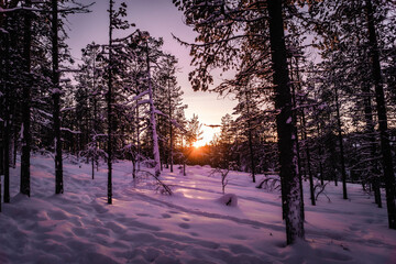 Sonnenuntergang in Lappland