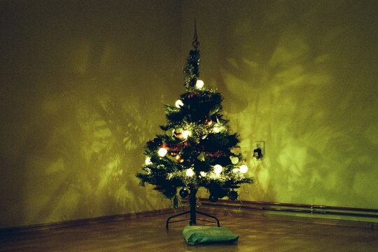 Christmas tree in Chomutov in Czechia  on 24. December 2023 on colour film photo -  blurriness and noise of scanned 35mm film were intentionally left in image