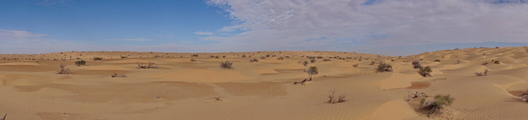 Fototapeta na wymiar Panorama of the Sahara Desert, outside of Douz, Tunisia