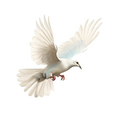 Fototapeta premium Capturing the Serenity and Elegance of a Majestic Dove in Mid-Flight - A PNG Cutout Isolated on a Transparent Backdrop