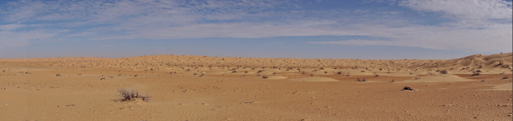 Fototapeta na wymiar Panorama of the Sahara Desert, outside of Douz, Tunisia
