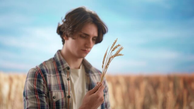 Farmer against large field of wheat at sunset. Man agronomist standing in the farm field, holding wheat ears in hands with care, checking smiling positive.