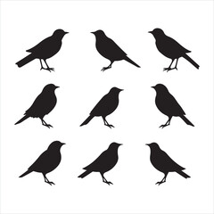 A black silhouette Lark bird set
