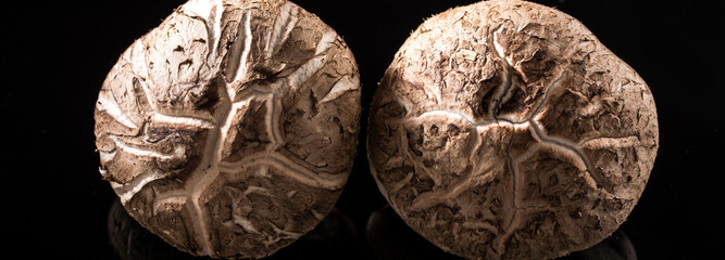 Elegant Contrast: 4K Ultra HD Image of Fresh Shiitake Mushroom on Black Background