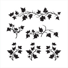 A black silhouette Ivy flower set
