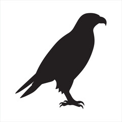 A black silhouette Hawk bird set
