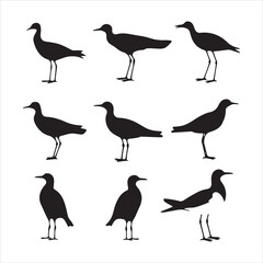 Fototapeta premium A black silhouette Gull bird set 