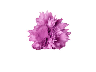 Mauve paint color powder festival explosion burst isolated on transparent background, transparency image, removed background