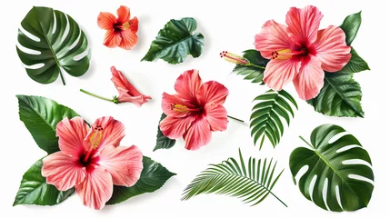 Zelfklevend Fotobehang Tropische planten Beautiful photo of hibiscus flowers and tropical