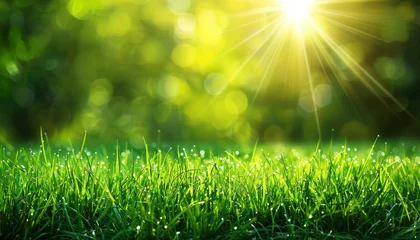 Fotobehang Sunbeams pierce through the fresh morning air, casting light on dew-speckled grass, evoking a new day's serene beginning. © AI Visual Vault