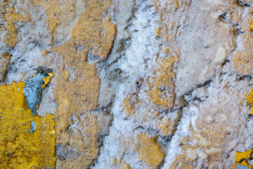 Saltpeter on a wall in a room, harmful to health