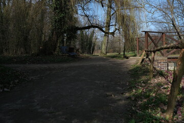 Naklejka premium bench in the park