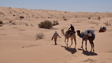 Bedouin man leading a dromedary camel (Camelus dromedarius) on a camel trek in the Sahara Desert, outside of Douz, Tunisia